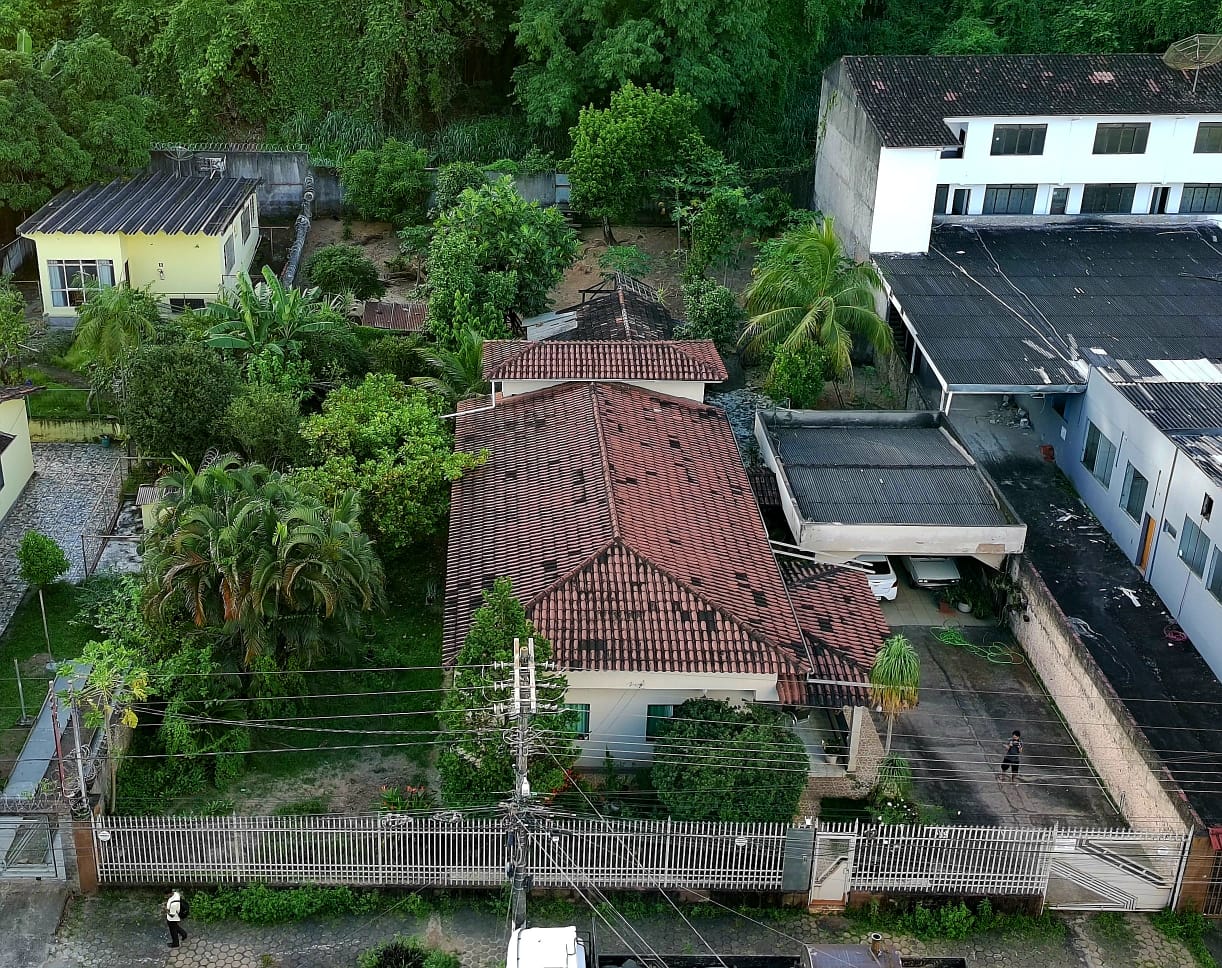 CASA 3Q - BROMELIAS 